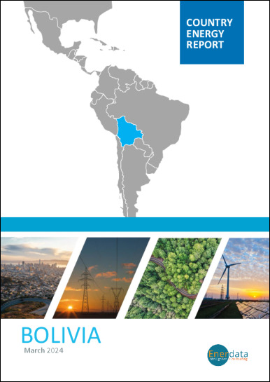 Bolivia energy report