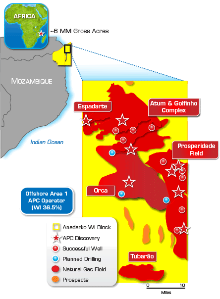 ONGC (India) estimates its gas reserves in Mozambique up to 2,000 bcm